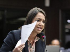 Faride Raful: Modificar Constitución ahora sería un “caramelo envenado” para habilitar a Danilo