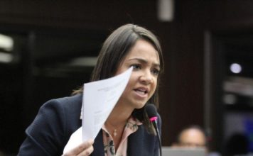 Faride Raful: Modificar Constitución ahora sería un “caramelo envenado” para habilitar a Danilo
