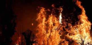 Incendio en el Amazonas: por qué Noruega donó US$1.200 millones a Brasil durante 10 años y dejó de hacerlo justo antes de los últimos fuegos