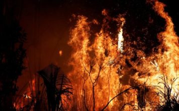 Incendio en el Amazonas: por qué Noruega donó US$1.200 millones a Brasil durante 10 años y dejó de hacerlo justo antes de los últimos fuegos