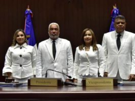 Elección de Radhamés Camacho marca “desunión” del PLD y prevé “otra crisis”