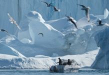 Por qué la remota Groenlandia es atractiva para Trump (y también para China)