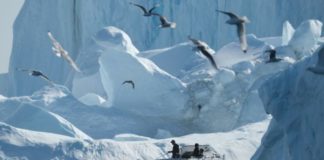 Por qué la remota Groenlandia es atractiva para Trump (y también para China)