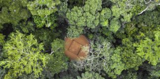 Desconocido y casi intacto: así es el segundo pulmón verde del planeta