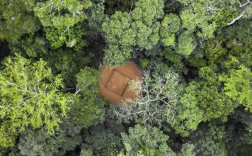 Desconocido y casi intacto: así es el segundo pulmón verde del planeta