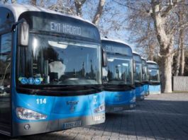 Racista insulta y golpea a mujer dominicana en Madrid