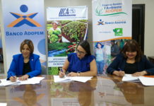 Banco ADOPEM y el IICA establecen alianza para capacitar a productores agropecuarios