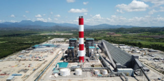 ¿Acciones de Punta Catalina a precio de vaca muerta?