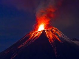 La sexta extinción masiva que afectó a la Tierra y que acaban de descubrir los científicos