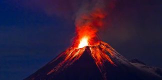 La sexta extinción masiva que afectó a la Tierra y que acaban de descubrir los científicos