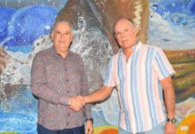 Crean proyecto para administrar selecciones de natación RD