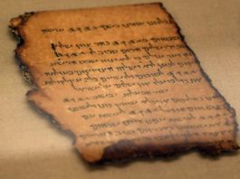 Rollos del mar Muerto: el secreto que explica la increíble preservación de uno de los más grandes de estos milenarios pergaminos