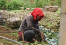 Banco Adopem fomenta el desarrollo de la mujer rural con la agricultura familiar y el empoderamiento femenino