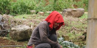 Banco Adopem fomenta el desarrollo de la mujer rural con la agricultura familiar y el empoderamiento femenino