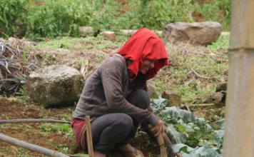 Banco Adopem fomenta el desarrollo de la mujer rural con la agricultura familiar y el empoderamiento femenino
