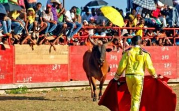 Construyen plaza de toros en el Seibo a un costo de $87 MM