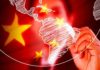 Inversión y Cooperación China-América Latina