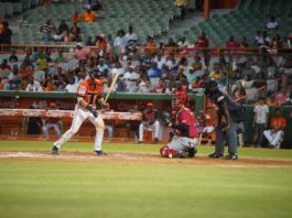 Toros rompen racha del Escogido dejándolos en el terreno