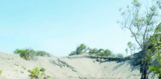 Las dunas son invadidas para “asentamientos agrícolas”, donde solo hay arena y cambrón
