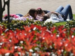 Temperaturas agradables en varias provincias del país para hoy lunes