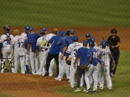 Licey corta racha de victorias a los Toros