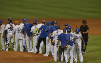 Licey corta racha de victorias a los Toros