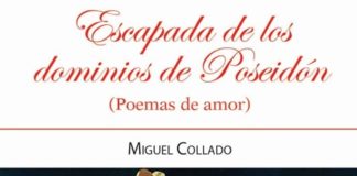 Retornando a mis dominios iniciales: la poesía*