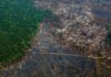 La Amazonia pierde 9.700 kilómetros cuadrados en un año, la mayor deforestación de la década