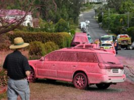 Los incendios en Australia alcanzan la periferia de Sídney