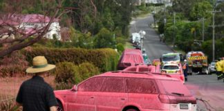 Los incendios en Australia alcanzan la periferia de Sídney