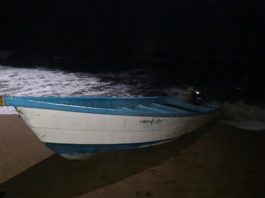 Armada Dominicana intercepta embarcación clandestina con 1 preso preventivo entre tripulantes