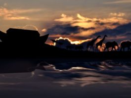 Hallan el lugar donde estaría enterrada el Arca de Noé