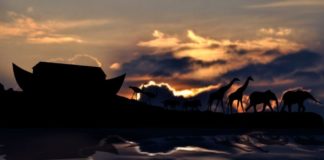 Hallan el lugar donde estaría enterrada el Arca de Noé