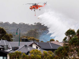 Advierten a residentes que es ‘demasiado tarde para evacuar’ partes del estado australiano de Victoria debido a los incendios