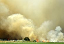 Sídney, ante una «emergencia de salud pública» por humo tóxico de los incendios