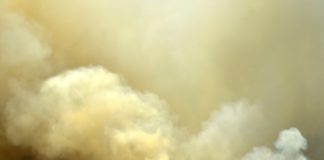 Sídney, ante una «emergencia de salud pública» por humo tóxico de los incendios