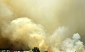 Sídney, ante una «emergencia de salud pública» por humo tóxico de los incendios