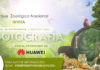 Huawei y el Parque Zoológico Nacional Arq. Manuel Valverde Podestá lanzan concurso fotografía móvil: ZOOTOGRAFÍA 2020