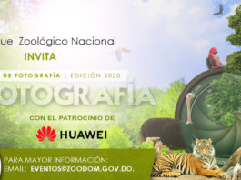Huawei y el Parque Zoológico Nacional Arq. Manuel Valverde Podestá lanzan concurso fotografía móvil: ZOOTOGRAFÍA 2020