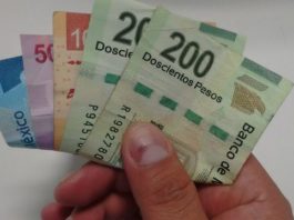 Tener funcionarios “honestos” no es el único paso contra la corrupción: MCCI