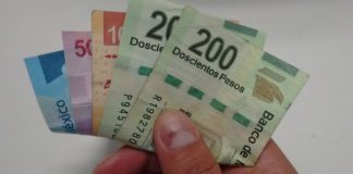 Tener funcionarios “honestos” no es el único paso contra la corrupción: MCCI