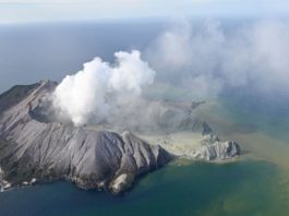 La erupción del volcán Whakaari deja al menos cinco muertos y varios desaparecidos