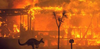 Apoyo internacional contra incendios llega a Australia