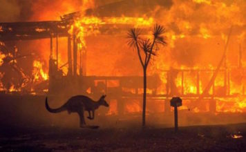 Apoyo internacional contra incendios llega a Australia