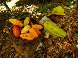 La inflación en Brasil aumenta ligeramente en 2019, a 4,31%