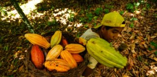La inflación en Brasil aumenta ligeramente en 2019, a 4,31%