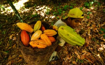 La inflación en Brasil aumenta ligeramente en 2019, a 4,31%