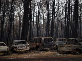 Miles abandonan hogares en Australia ante avivamiento de incendios