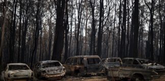 Miles abandonan hogares en Australia ante avivamiento de incendios