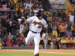 Aguilas eliminan a los Leones y van hoy a cazar al Licey